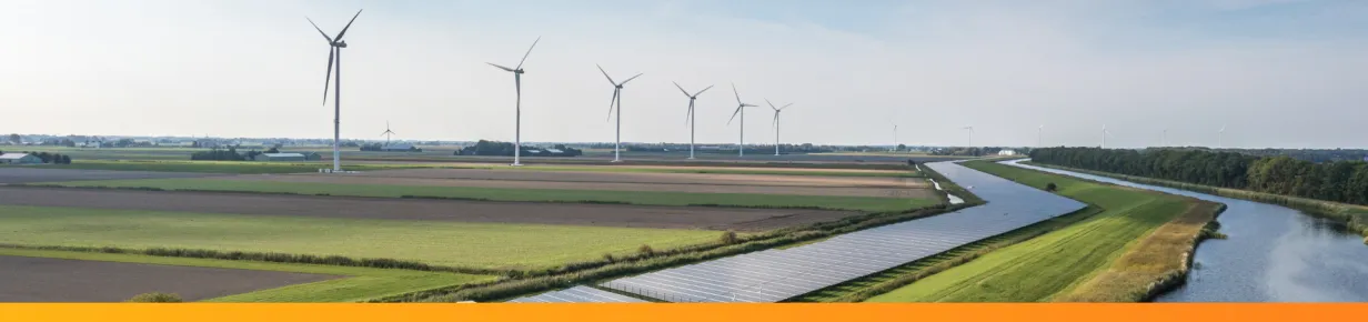 Curso